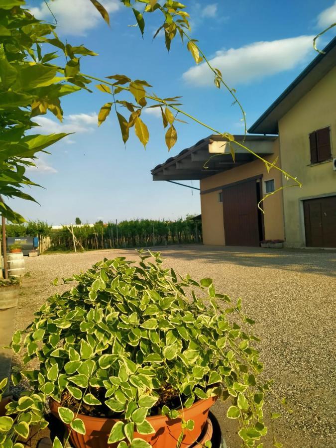 Corte Ohana Monteforte d'Alpone Ngoại thất bức ảnh